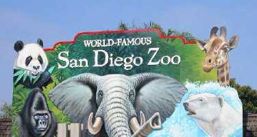San Diego Zoo tickets & tours | Price comparison