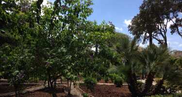 Palazzo Parisio & Gardens | Online Tickets & Touren Preisvergleich