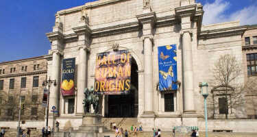 American Museum of Natural History | Online Tickets & Touren Preisvergleich