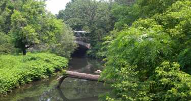 New York Botanical Garden tickets & tours | Price comparison