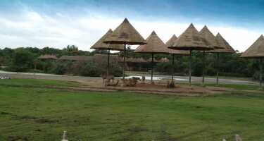 Safari World tickets & tours | Price comparison