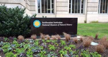 National Museum of Natural History tickets & tours | Price comparison
