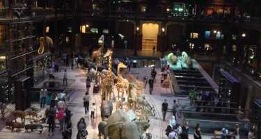 Grand Gallery of Evolution tickets & tours | Price comparison