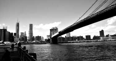 Biglietti e tour per Brooklyn Bridge Park | Confronto prezzi