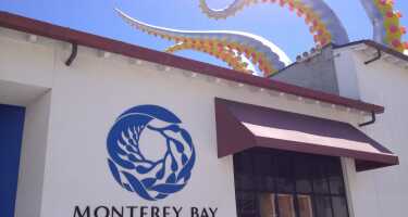 Monterey Bay Aquarium tickets & tours | Price comparison