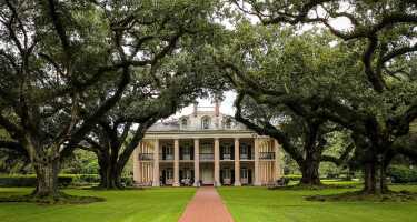 Oak Alley Plantation tickets & tours | Price comparison