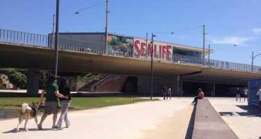 SEA LIFE Porto | Online Tickets & Touren Preisvergleich
