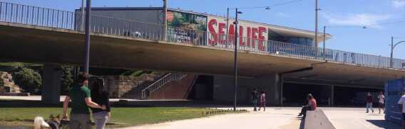 SEA LIFE Porto | Online Tickets & Touren Preisvergleich