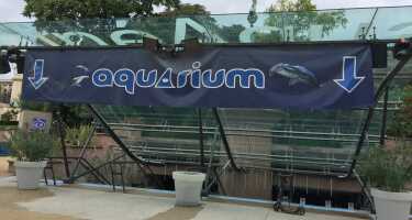 Aquarium de Paris - Cinéaqua tickets & tours | Price comparison