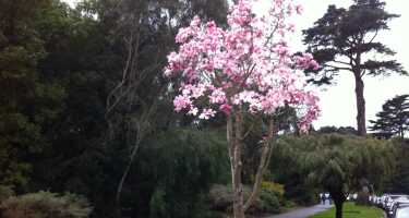 San Francisco Botanical Garden tickets & tours | Price comparison