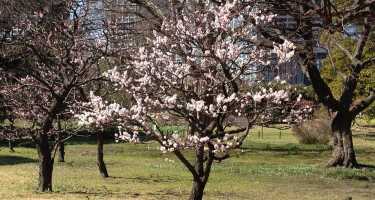 Hamarikyu-Park | Online Tickets & Touren Preisvergleich