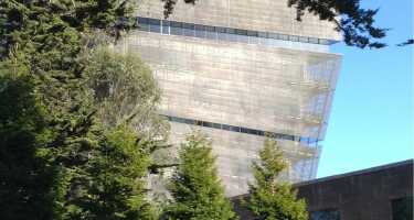 M. H. de Young Memorial Museum tickets & tours | Price comparison