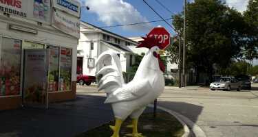 Little Havana tickets & tours | Price comparison